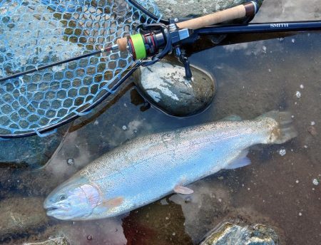 朝は爆風、午後は穏やか ～天竜川ルアーフライ専用区～